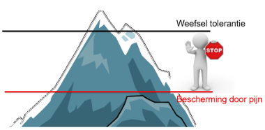 Hypersensitiviteit van het pijnsysteem