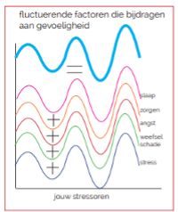 Veel factoren samen bepalen de uiteindelijke pijn